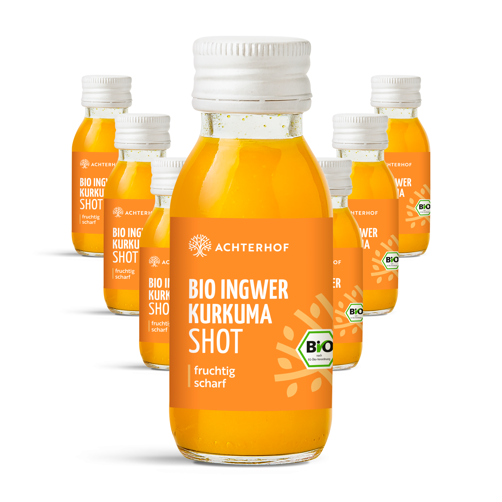 Fastendrinks 6 Flaschen Kräuterwunder Bio