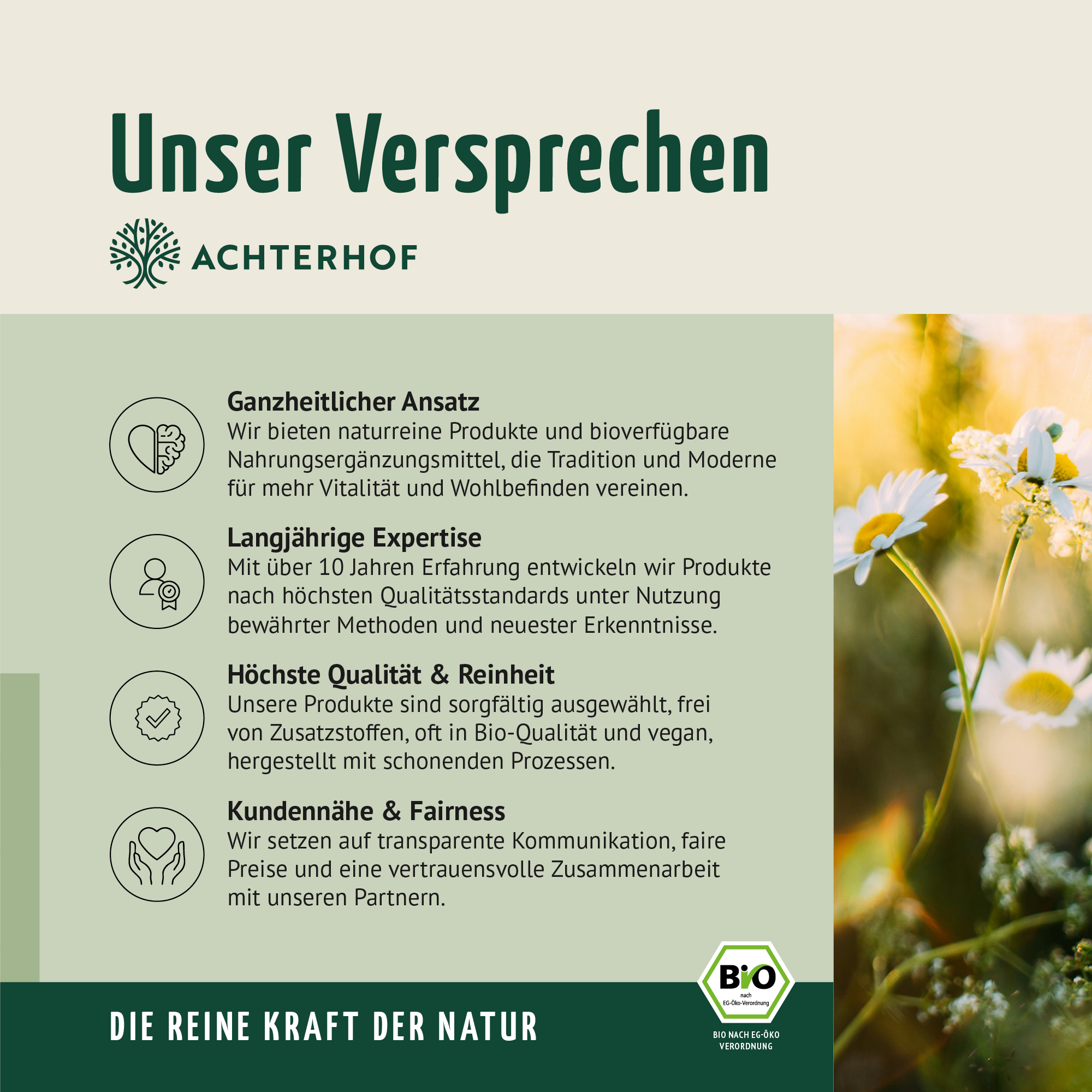 Fastendrinks 6 Flaschen Kräuterwunder Bio