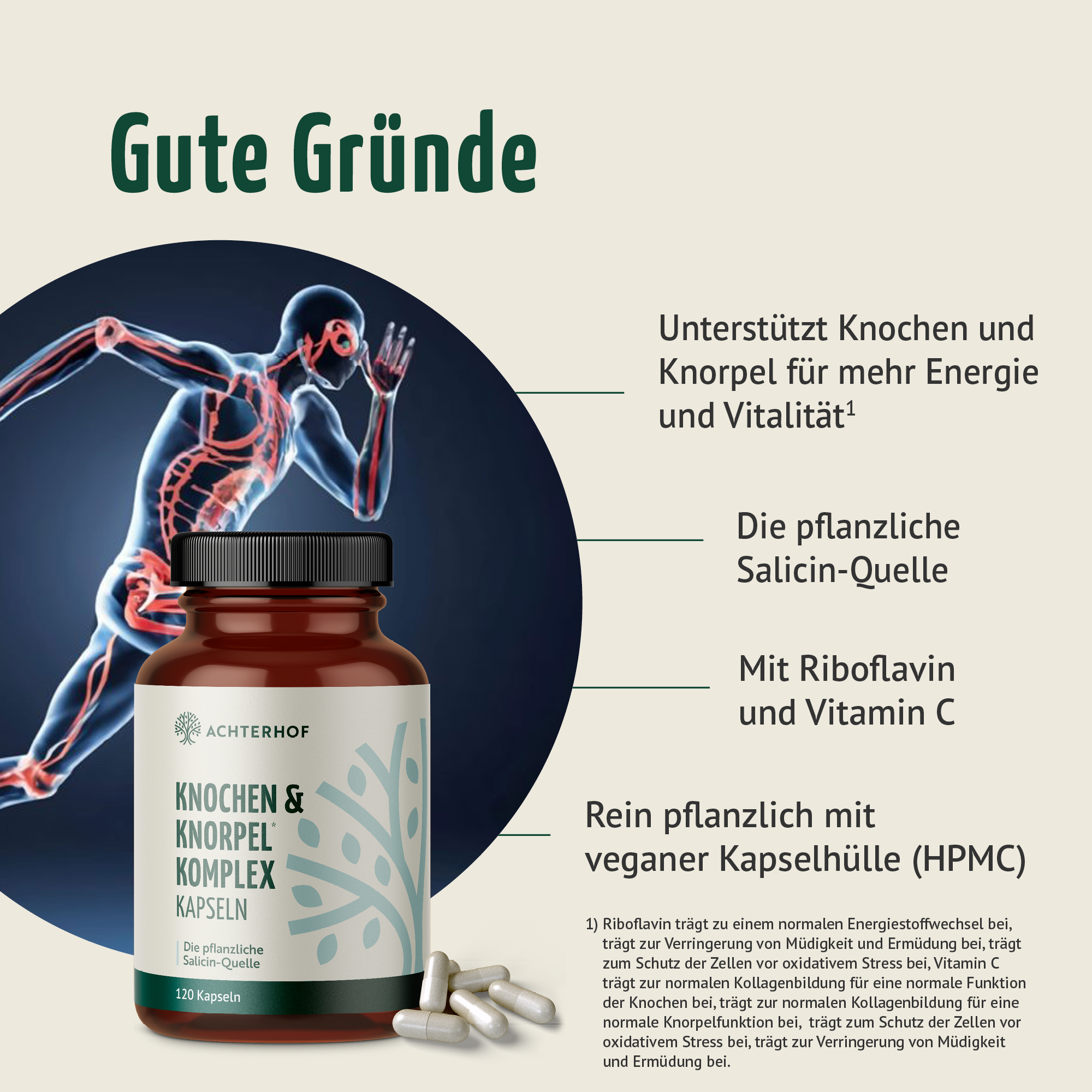 Knochen & Knorpel Komplex (120 Kapseln)