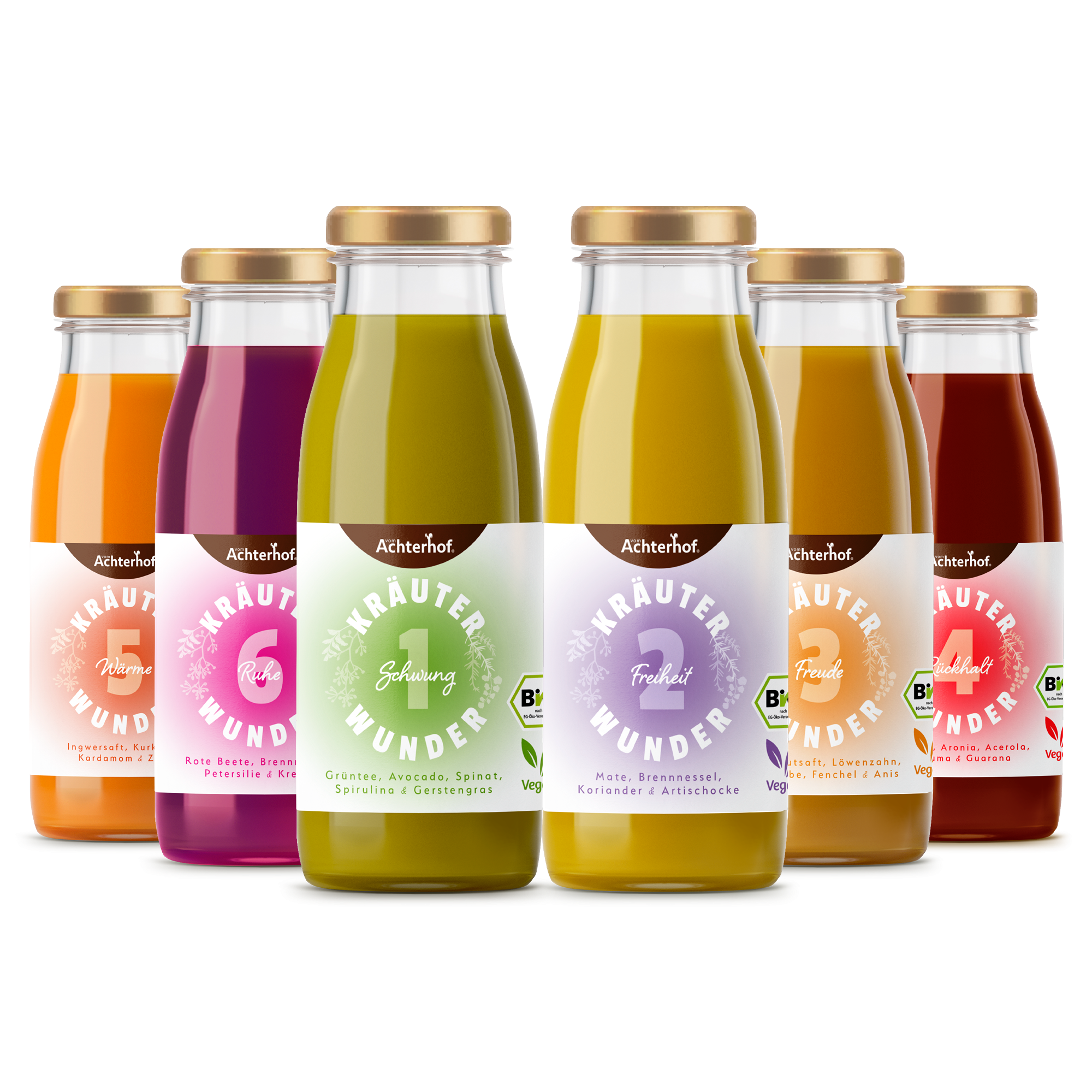 Fastendrinks 30 Flaschen Kräuterwunder Bio (5-Tageskur)