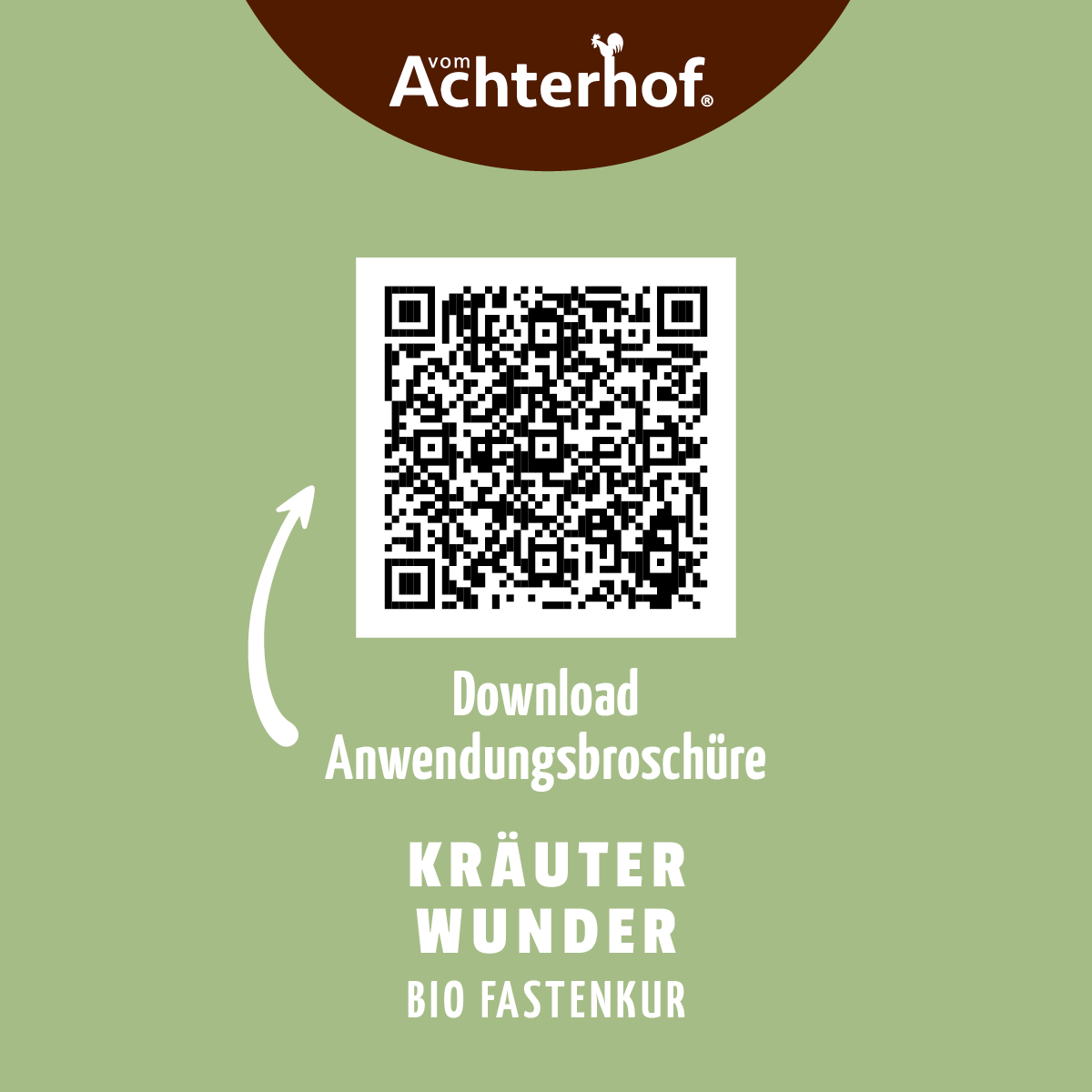 Fastendrinks 30 Flaschen Kräuterwunder Bio (5-Tageskur)