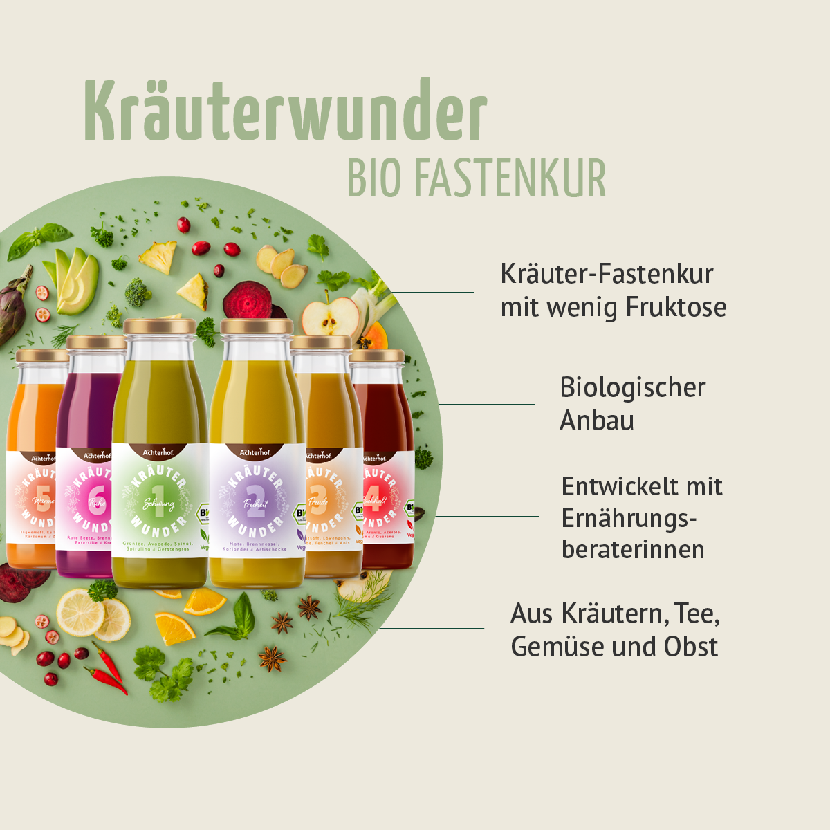 Fastendrinks 30 Flaschen Kräuterwunder Bio (5-Tageskur)