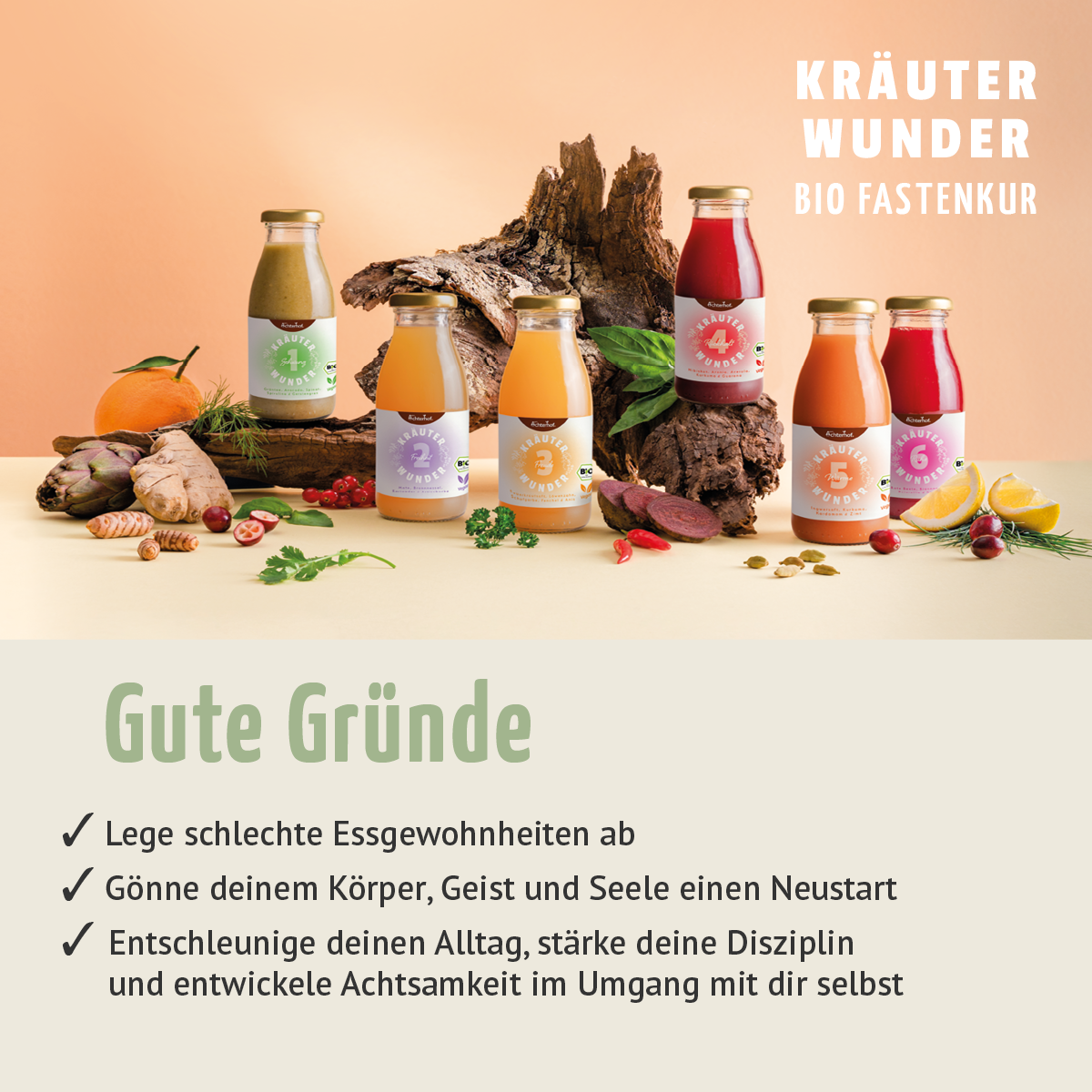 Fastendrinks 30 Flaschen Kräuterwunder Bio (5-Tageskur)