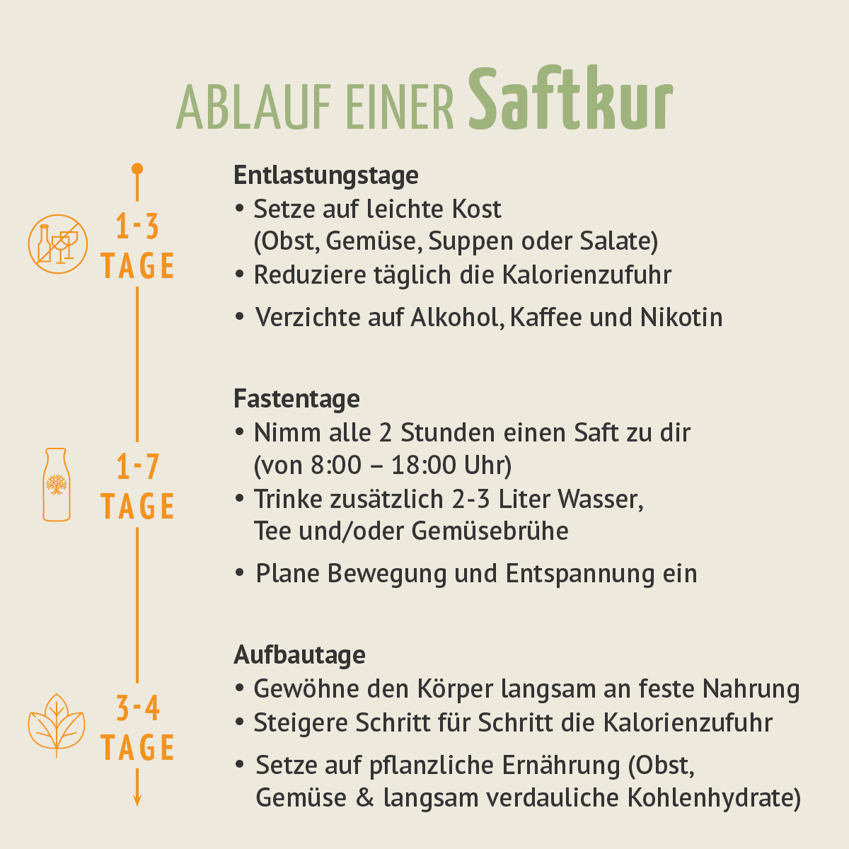 Kräuterwunder Bio Fastenkur 3 Tage (18 Flaschen)