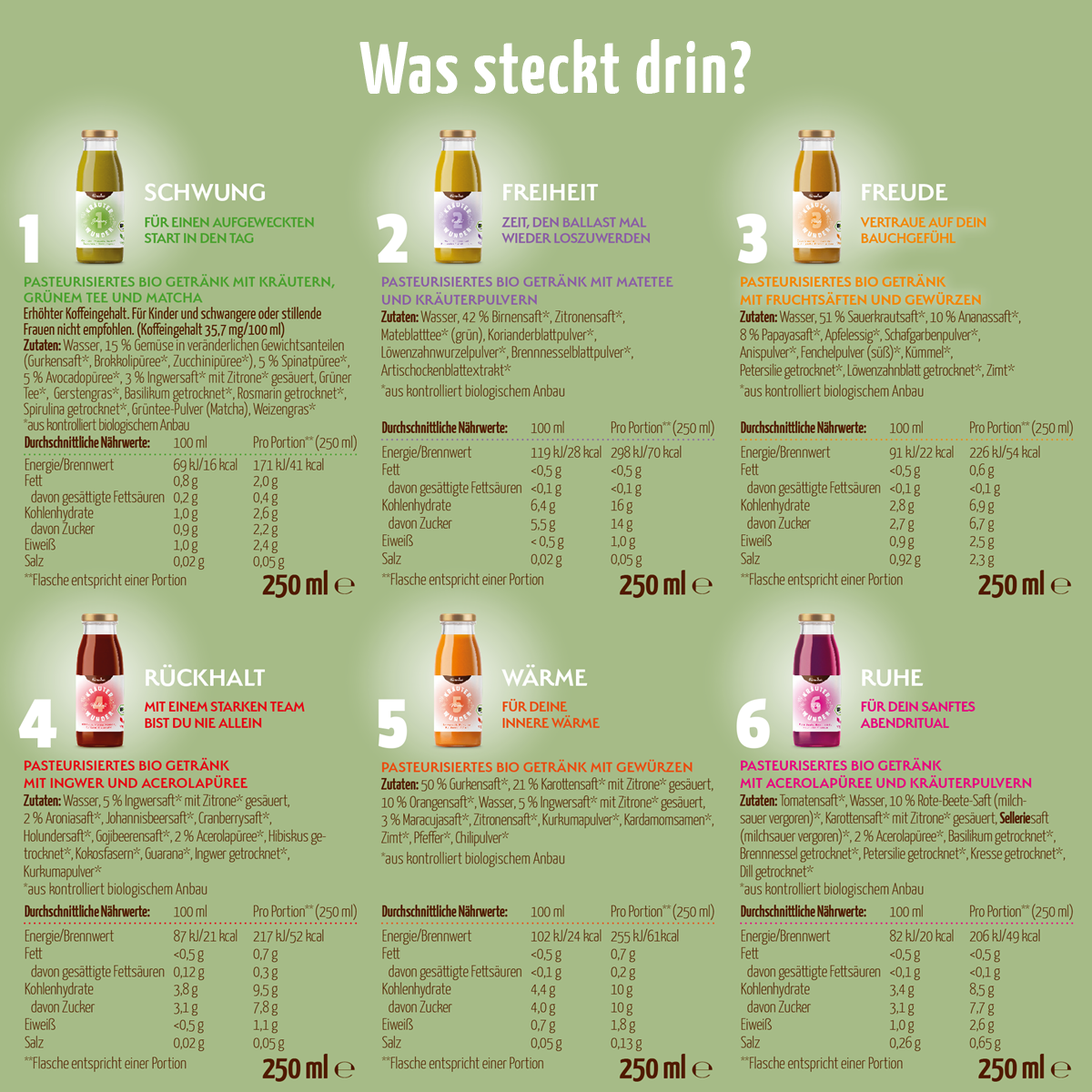 Fastendrinks 30 Flaschen Kräuterwunder Bio (5-Tageskur)