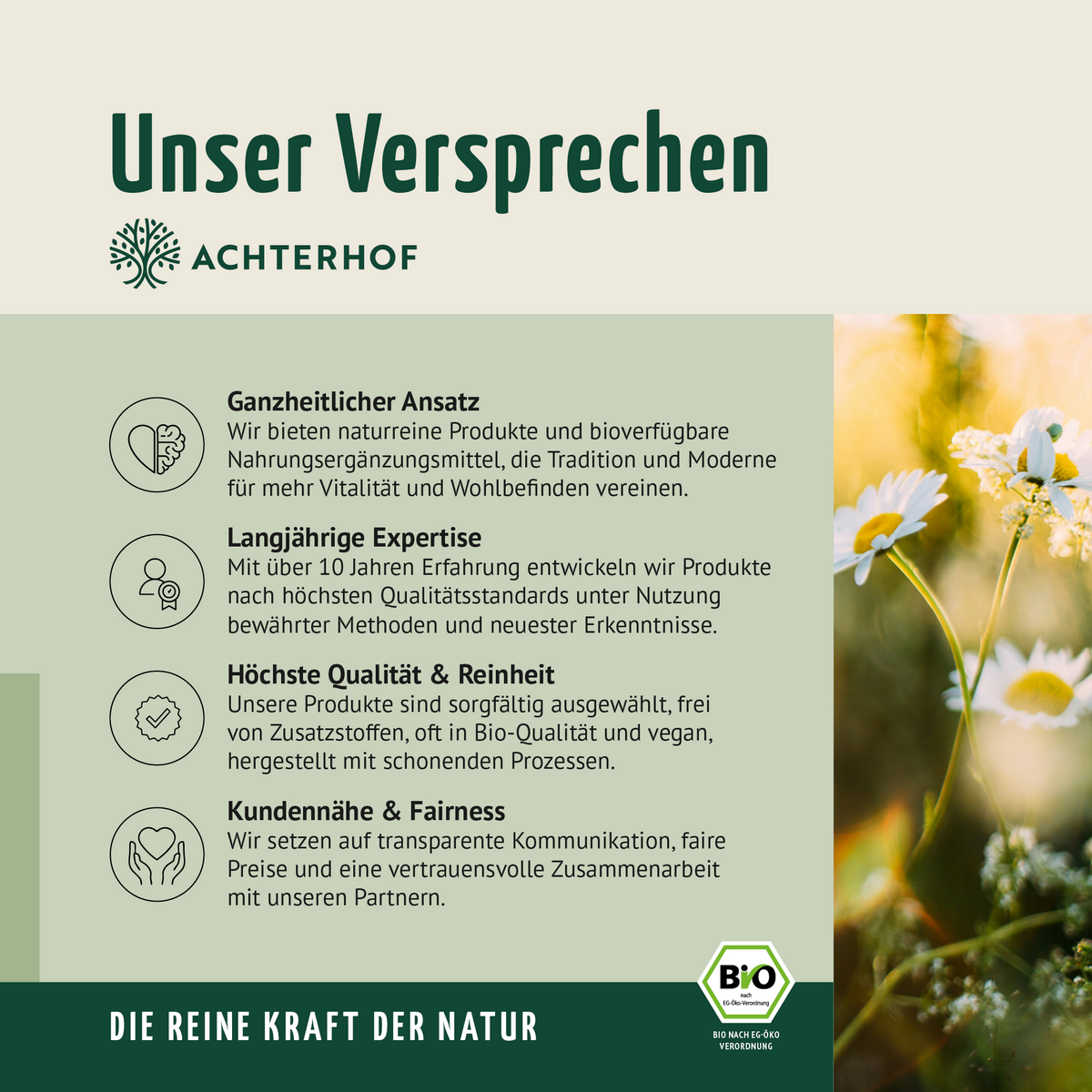 Lavendelblüten ganz Bio (100g)