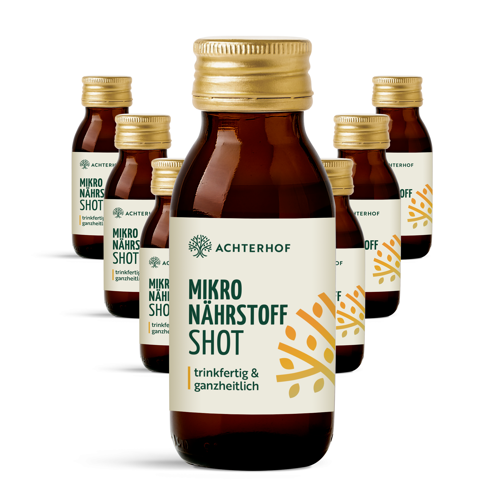 Fastendrinks 6 Flaschen Kräuterwunder Bio