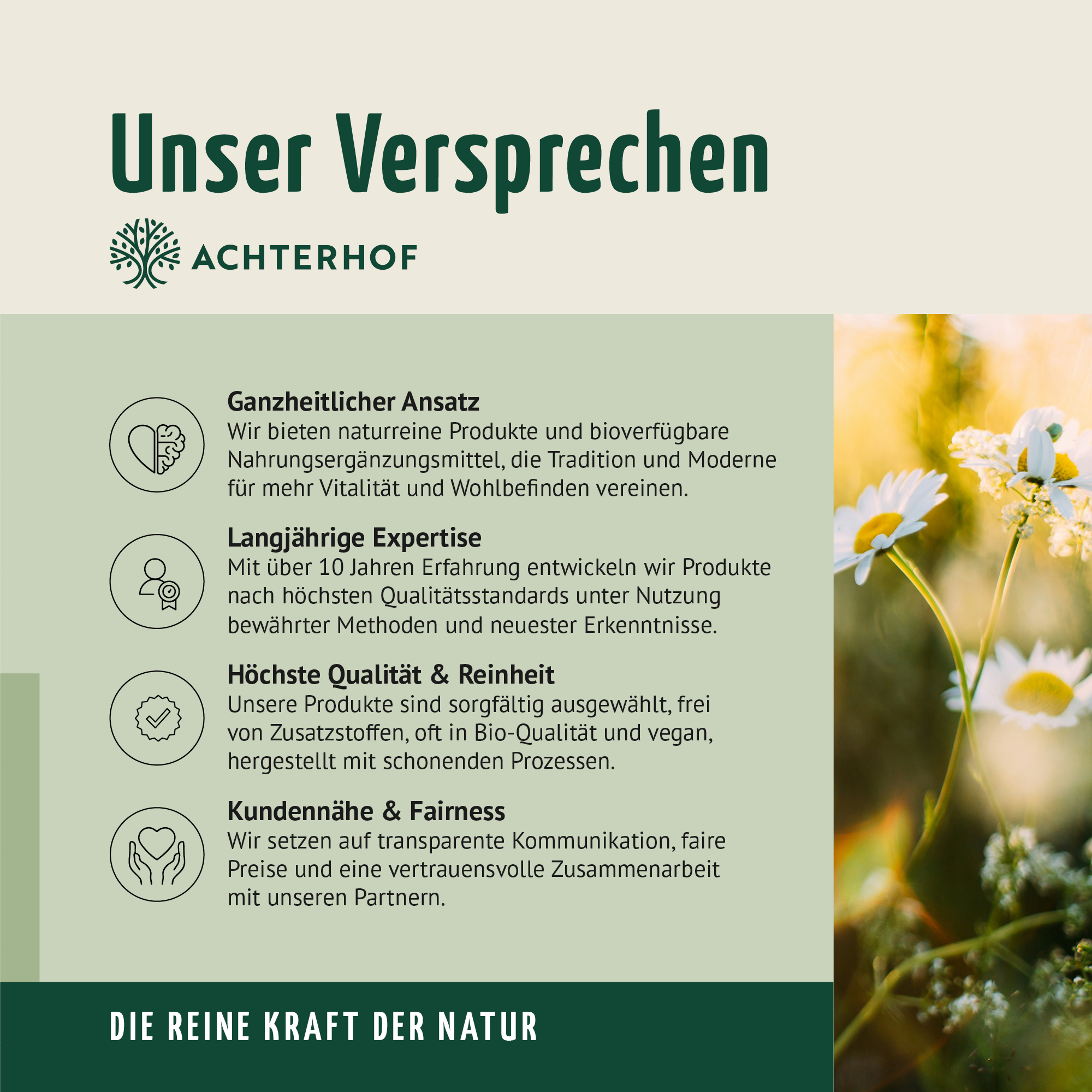 Fastendrinks 6 Flaschen Kräuterwunder Bio