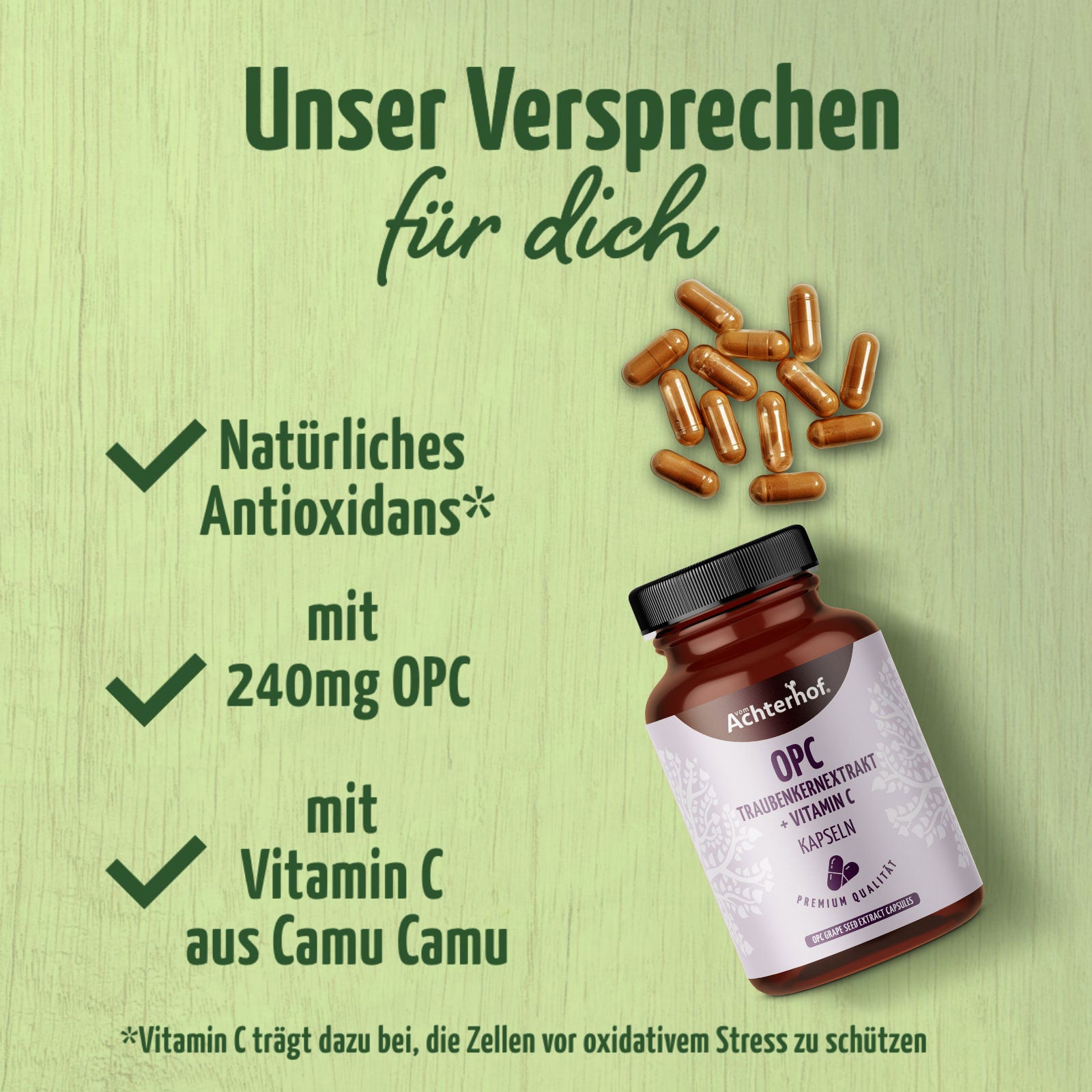 OPC Traubenkernextrakt + Vitamin C Kapseln (200 Kapseln)