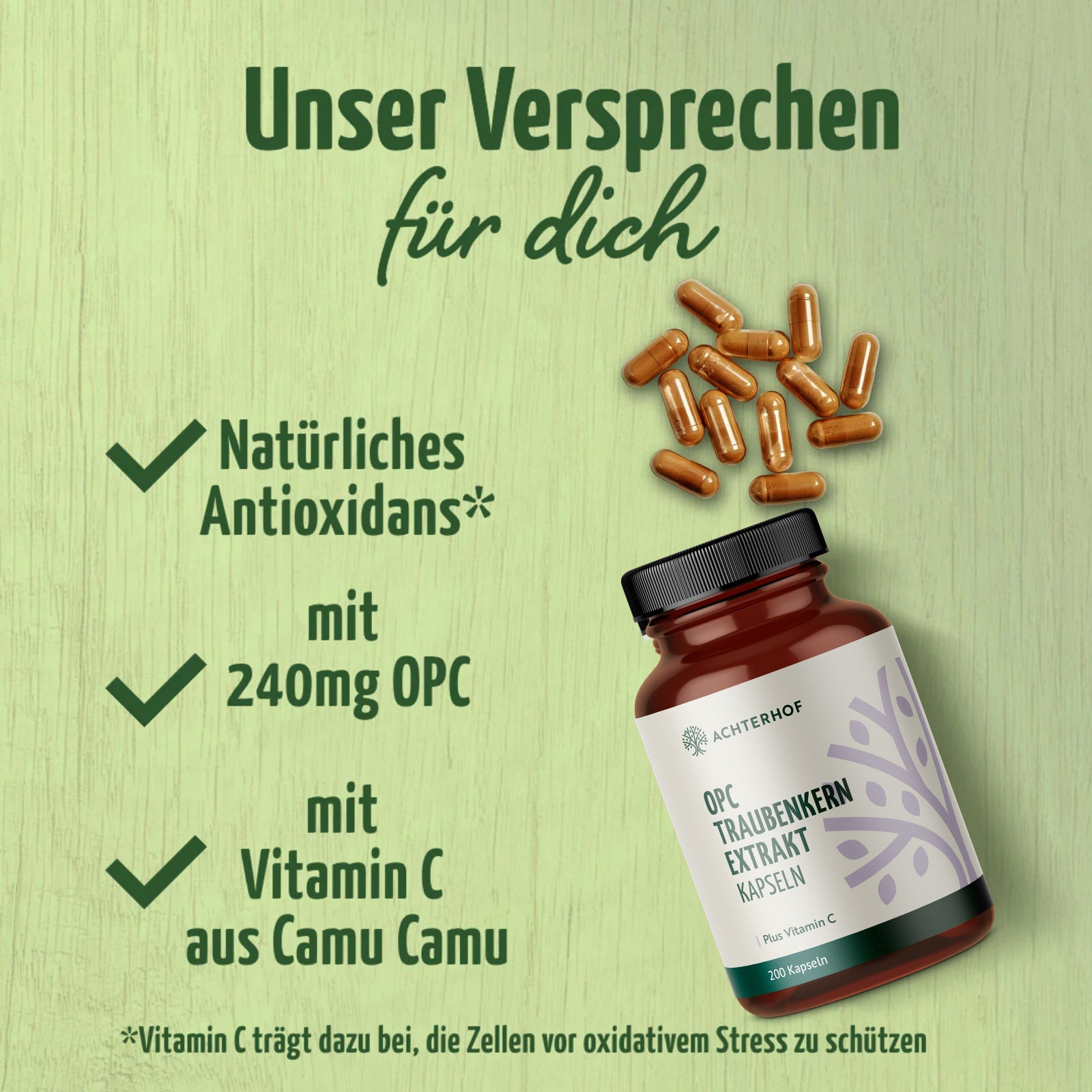 OPC Traubenkernextrakt + Vitamin C Kapseln (200 Kapseln)