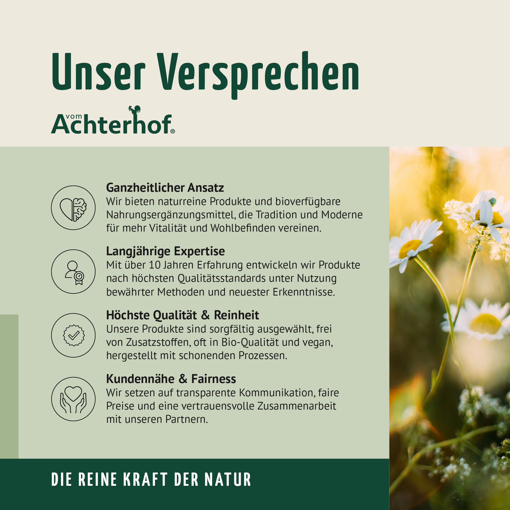 Pumpkin Spice Latte Gewürzmischung (100g)