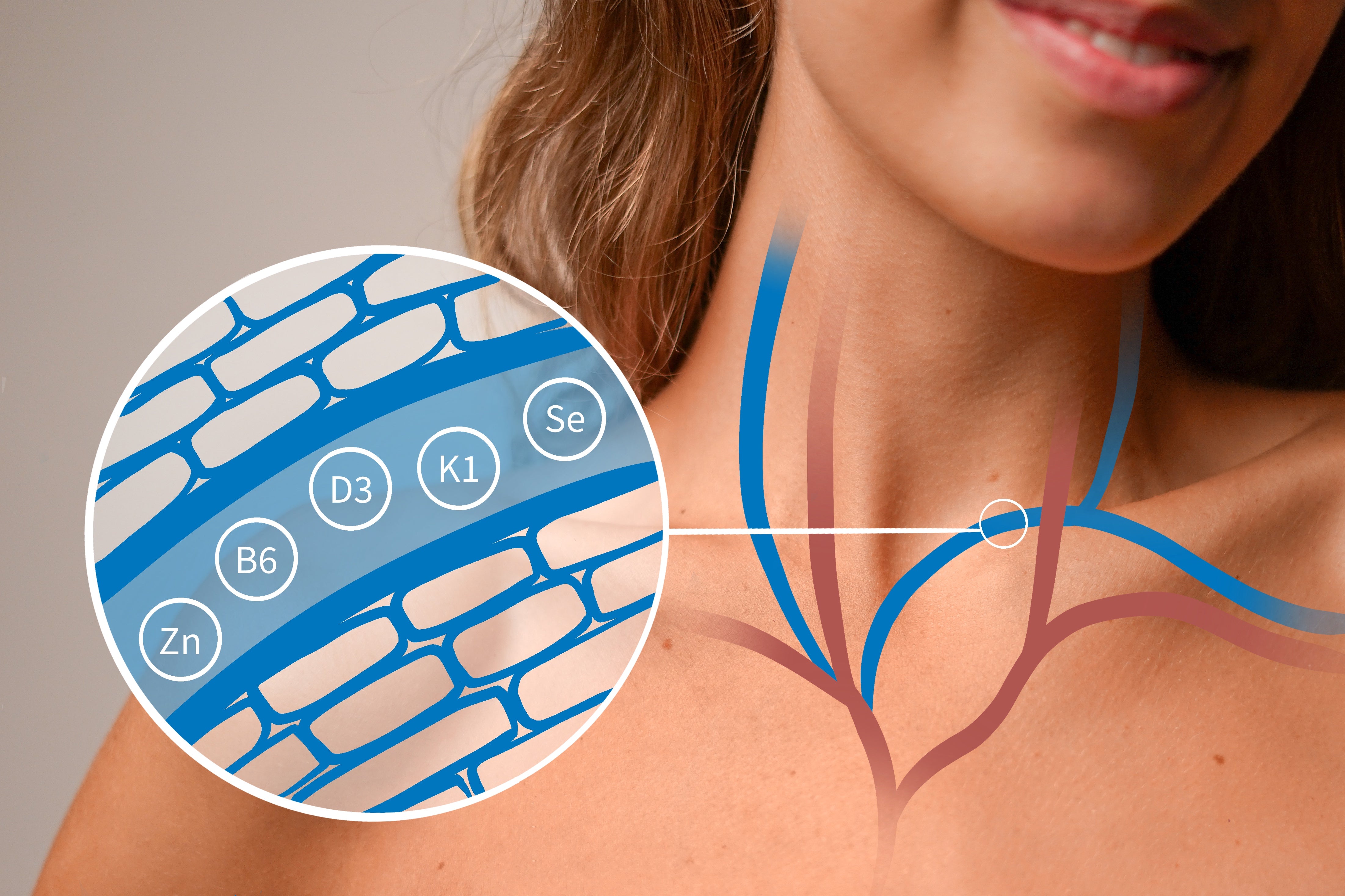 Dr. Niedermaier Regulatpro Immune (350ml)