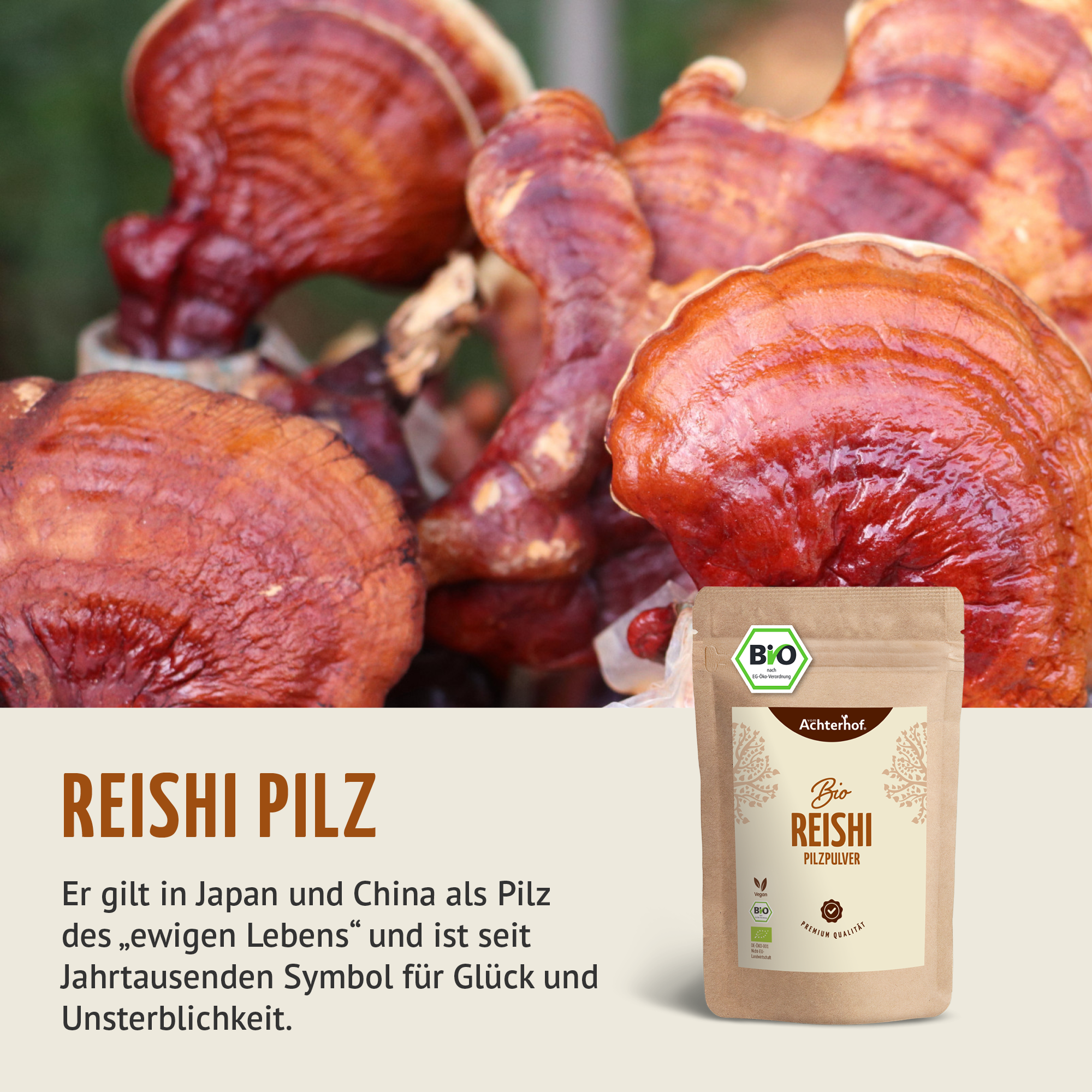 Bio Reishi Pilzpulver (100g)