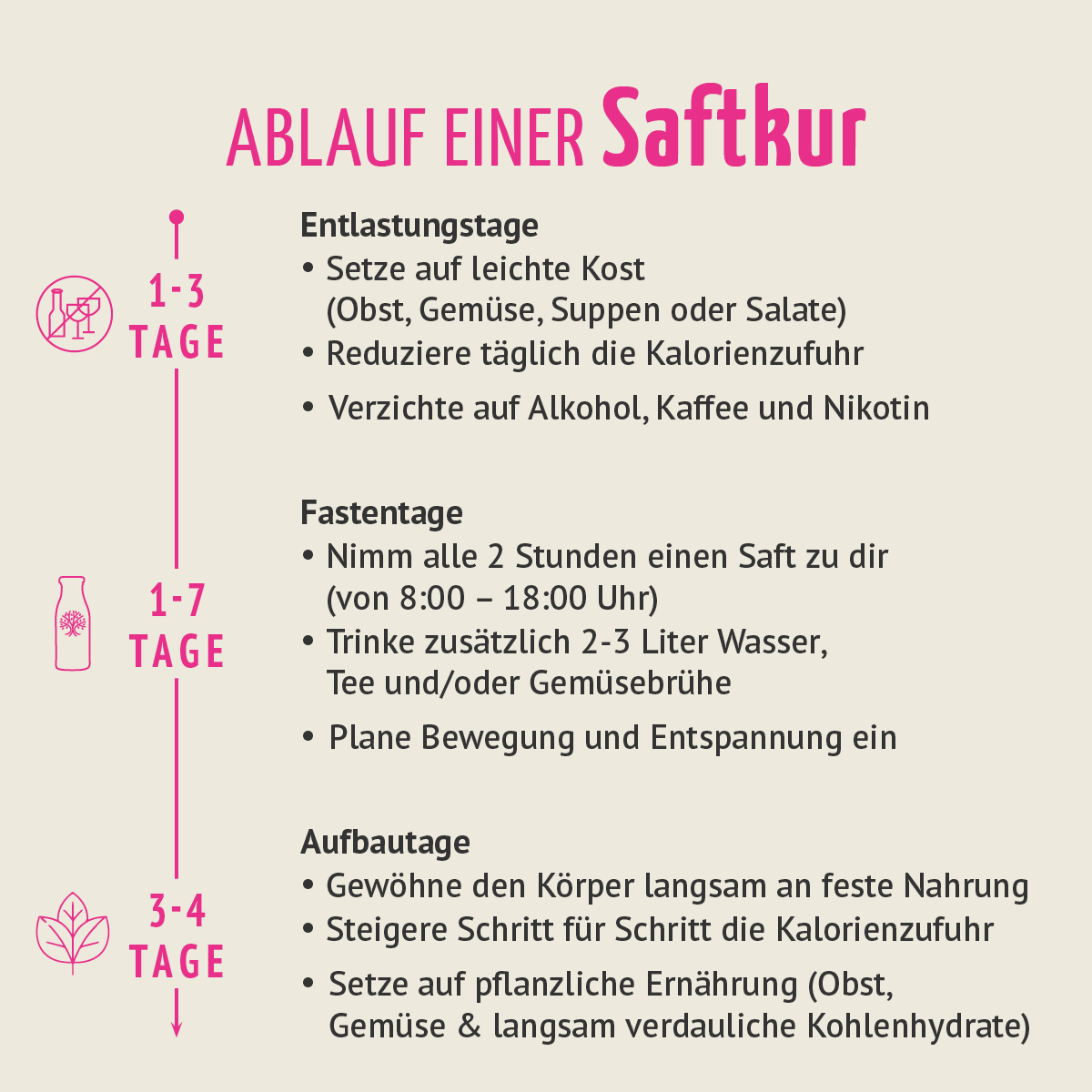 Saftstart Bio Fastenkur 1-7 Tage (6 Flaschen pro Tag)
