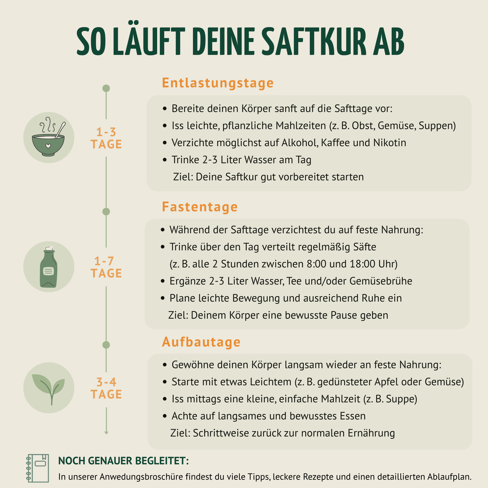 Saftzeit Bio Fastenkur 5 Tage (30 Flaschen)