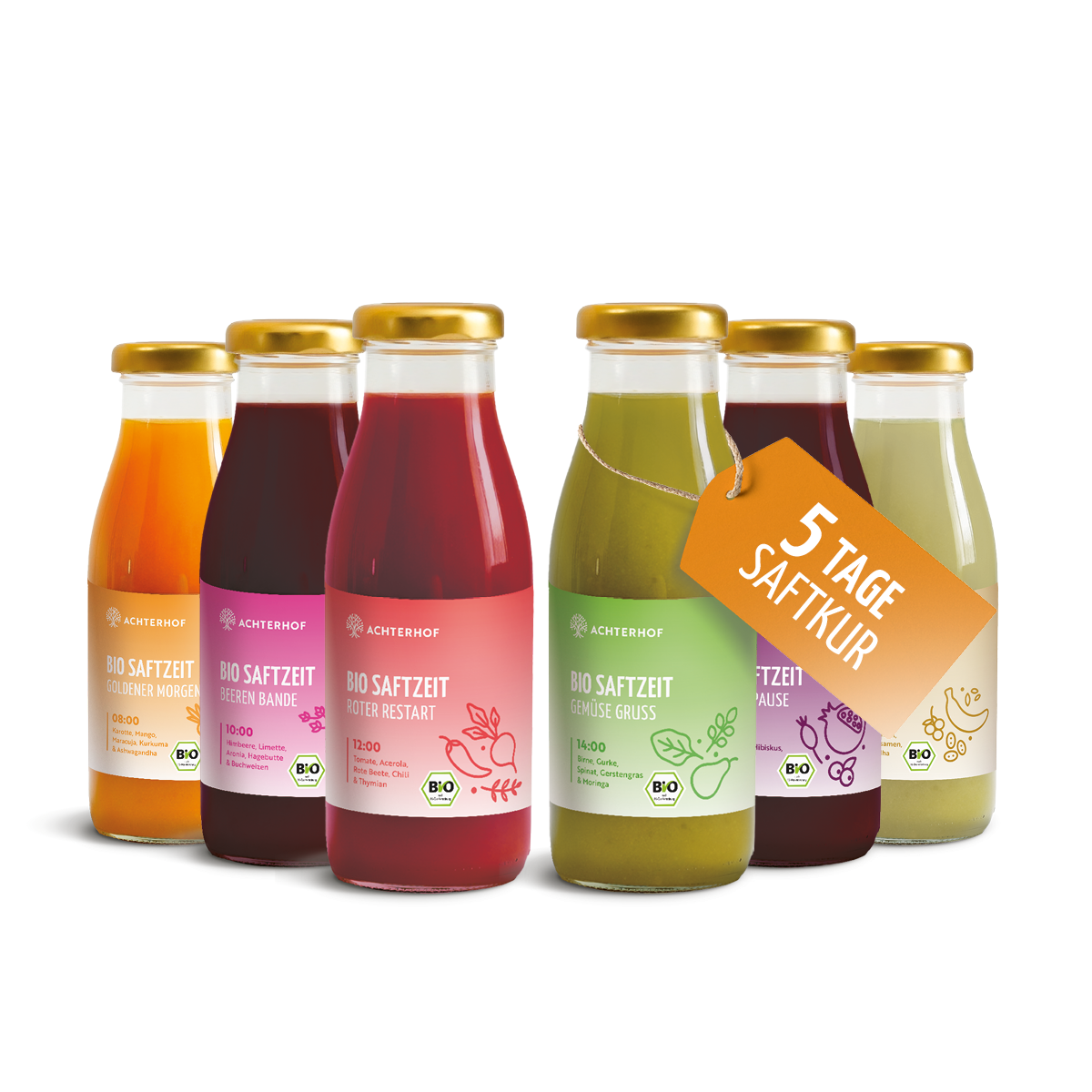 Saftzeit Bio Fastenkur 5 Tage (30 Flaschen)