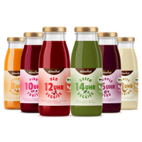 Fastendrinks 6 Flaschen Kräuterwunder Bio