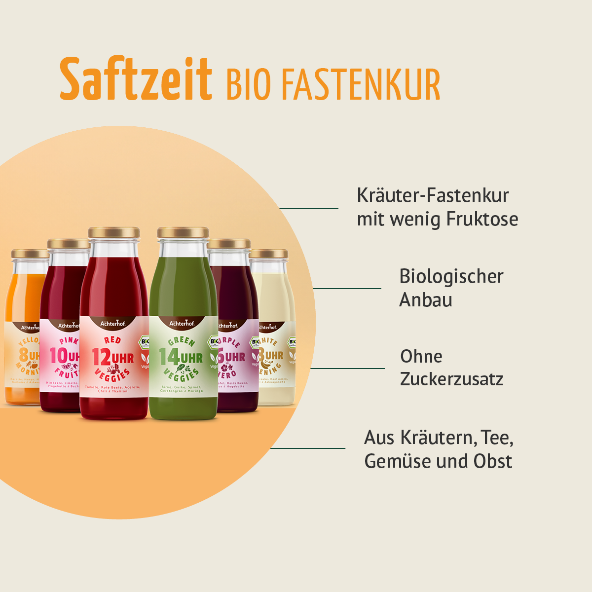Fastendrinks 6 Flaschen Kräuterwunder Bio