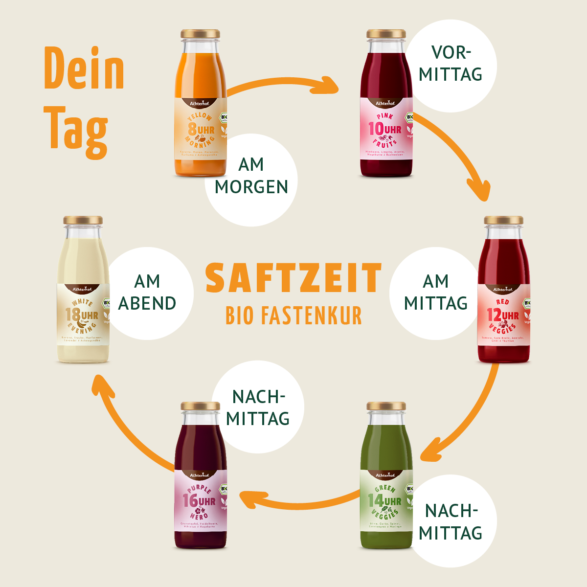 Fastendrinks 18 Flaschen Kräuterwunder Bio (3-Tageskur)