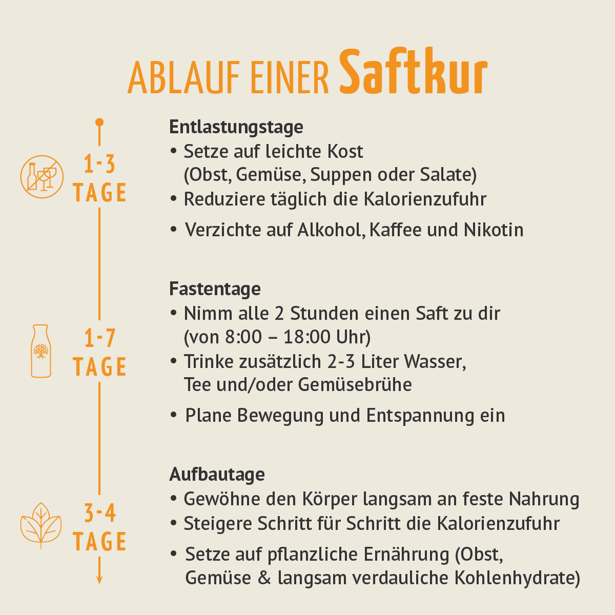 Saftzeit Bio Fastenkur 3 Tage (18 Flaschen)