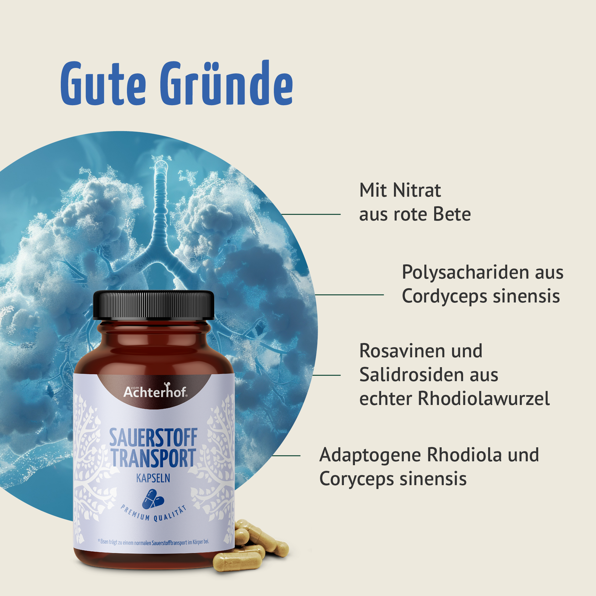 Sauerstoff Transport Kapseln (120 Kapseln)