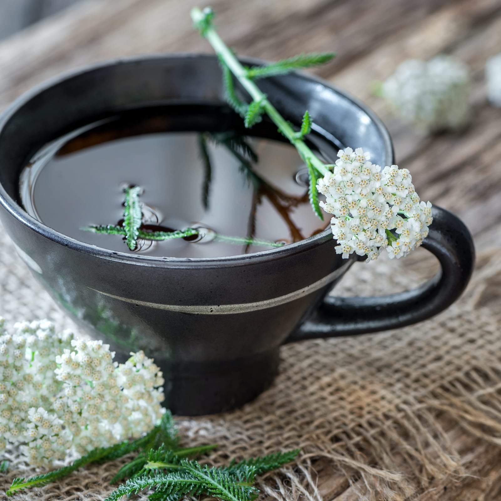 Schafgarbenkraut geschnitten (100g)