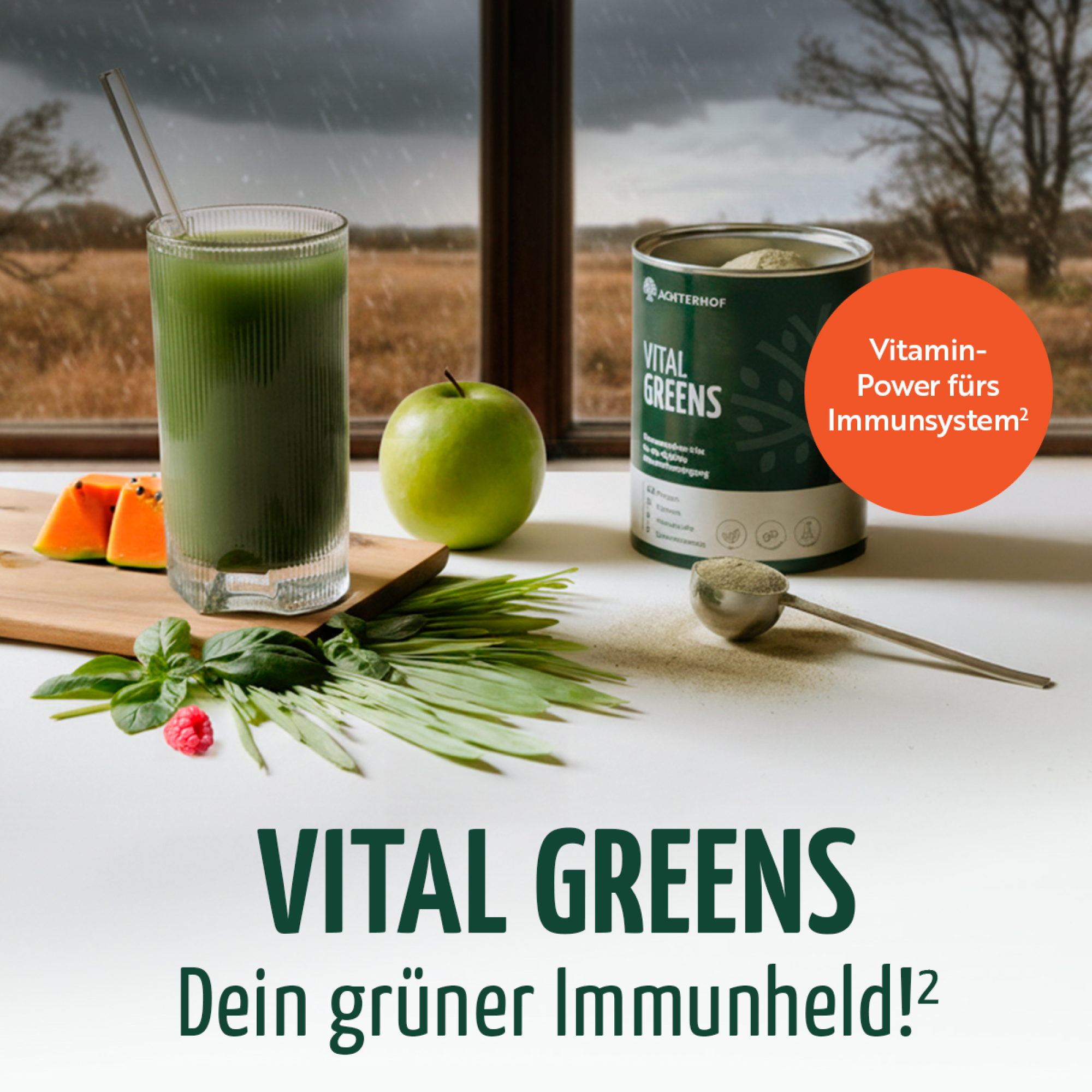 Greens & Edelstahl Shaker Set