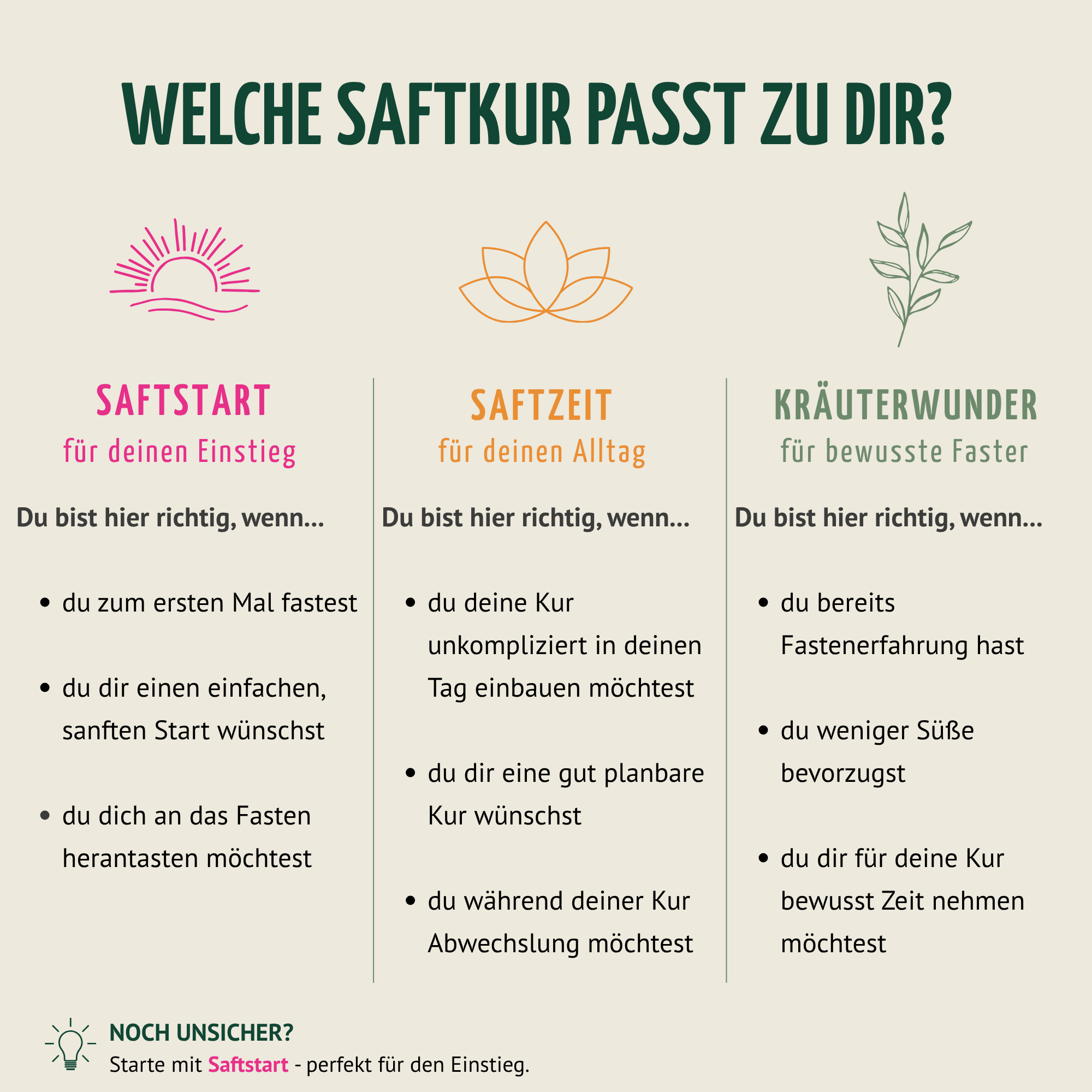 Kräuterwunder Bio Fastenkur 3 Tage (18 Flaschen)