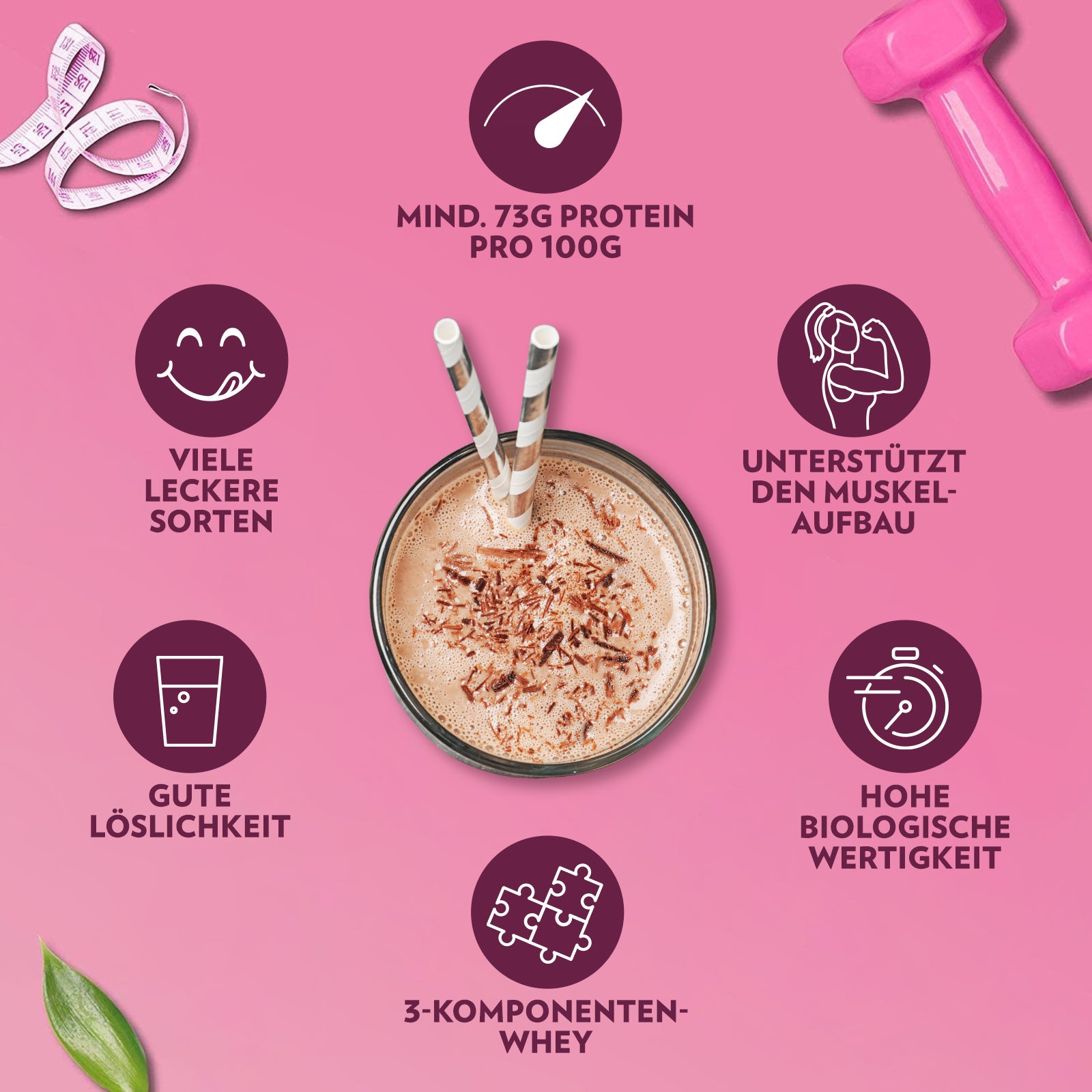 Whey Protein (500g)